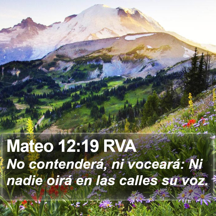 Mateo 12:19 RVA Bible Study