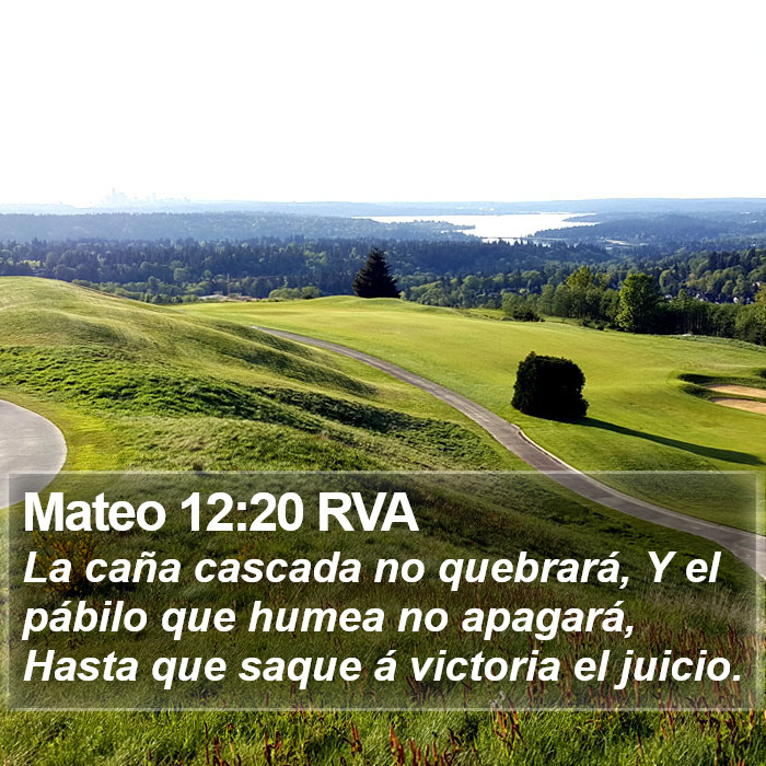 Mateo 12:20 RVA Bible Study