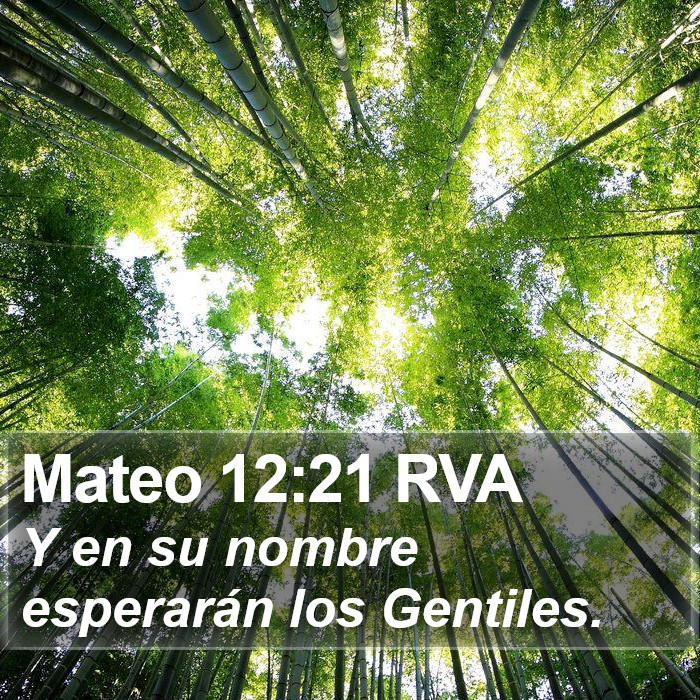 Mateo 12:21 RVA Bible Study