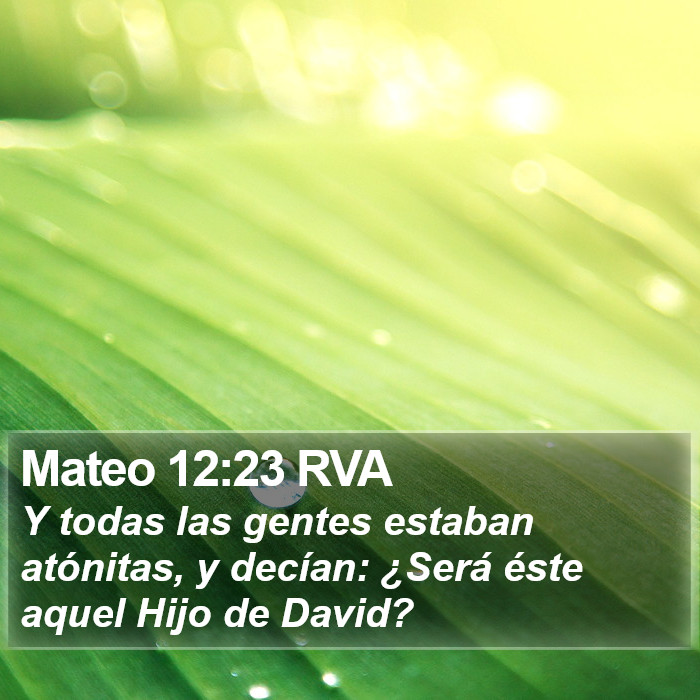 Mateo 12:23 RVA Bible Study