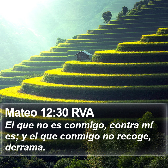 Mateo 12:30 RVA Bible Study