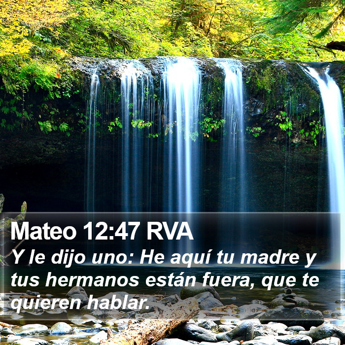 Mateo 12:47 RVA Bible Study