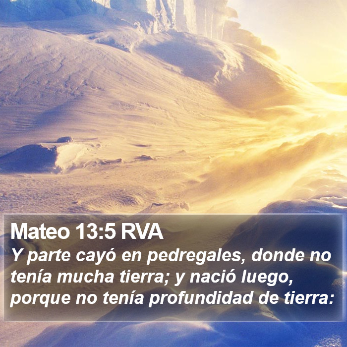 Mateo 13:5 RVA Bible Study