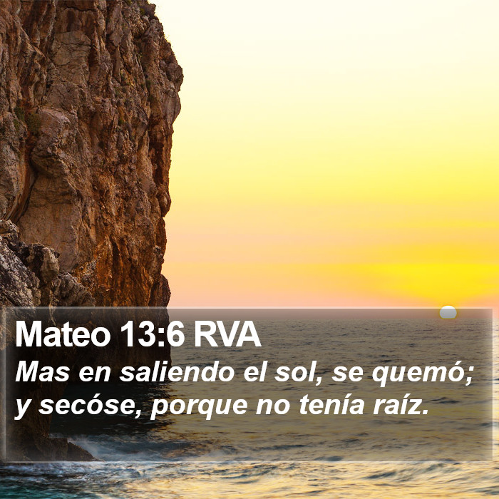 Mateo 13:6 RVA Bible Study