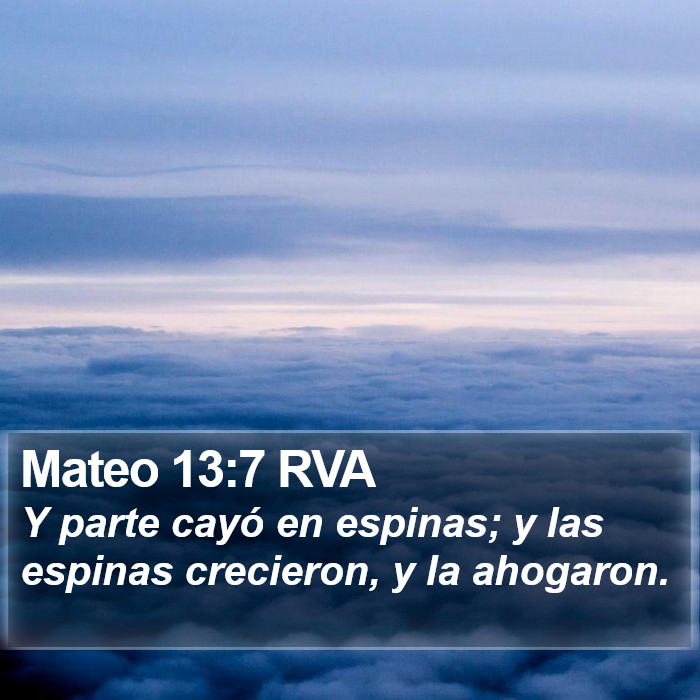 Mateo 13:7 RVA Bible Study