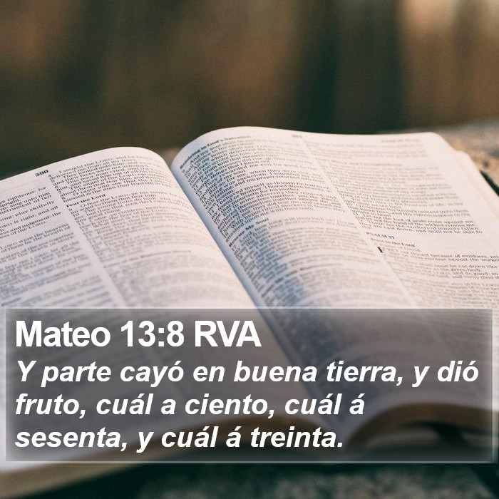 Mateo 13:8 RVA Bible Study