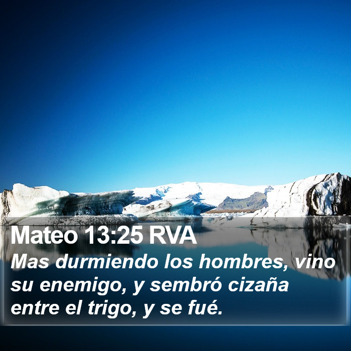 Mateo 13:25 RVA Bible Study