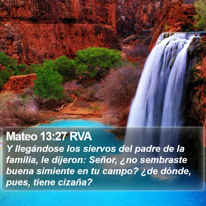 Mateo 13:27 RVA Bible Study