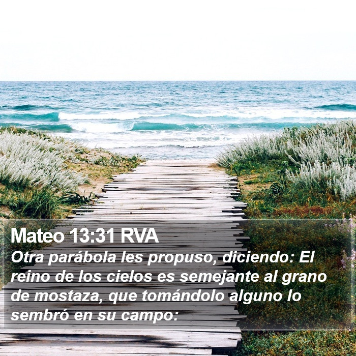 Mateo 13:31 RVA Bible Study