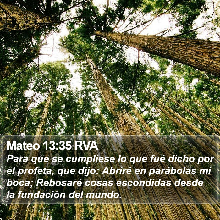 Mateo 13:35 RVA Bible Study