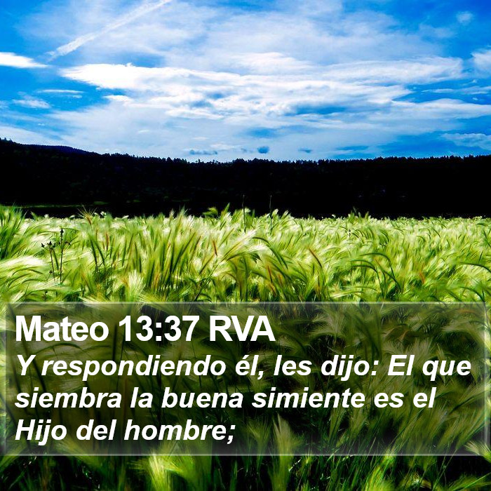 Mateo 13:37 RVA Bible Study