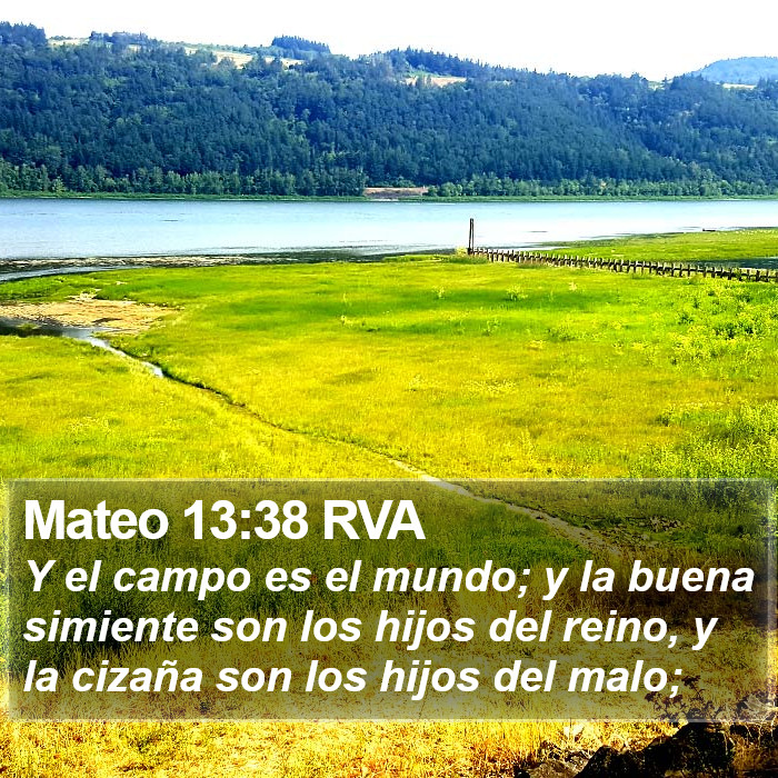 Mateo 13:38 RVA Bible Study