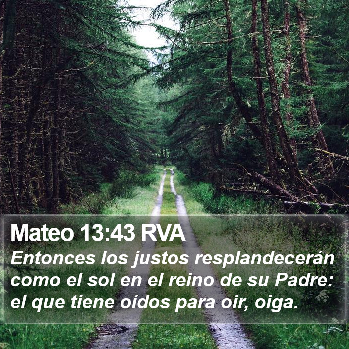 Mateo 13:43 RVA Bible Study