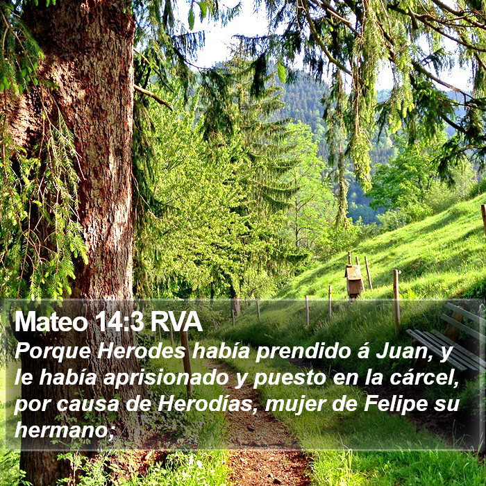 Mateo 14:3 RVA Bible Study