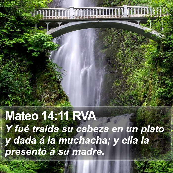 Mateo 14:11 RVA Bible Study