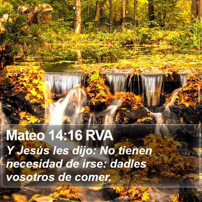 Mateo 14:16 RVA Bible Study