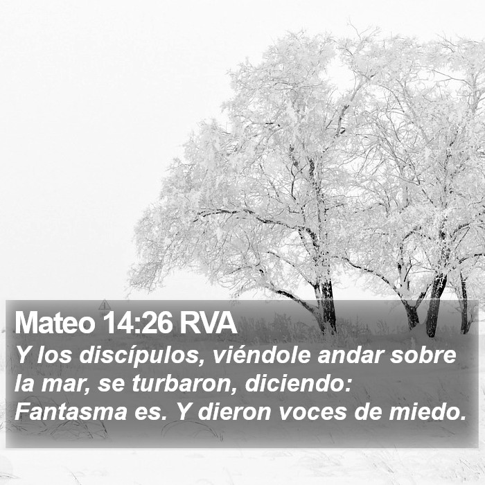 Mateo 14:26 RVA Bible Study