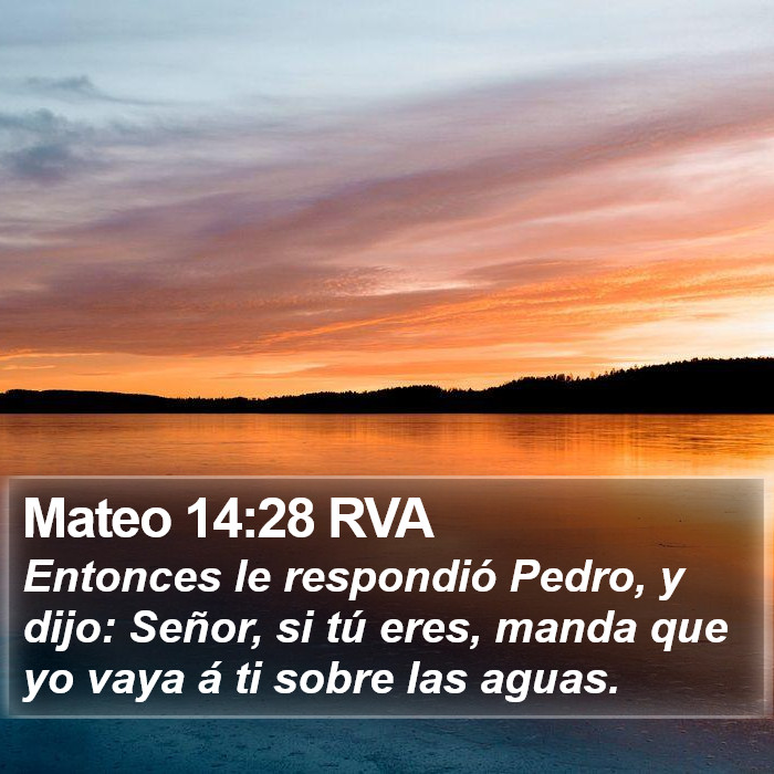 Mateo 14:28 RVA Bible Study