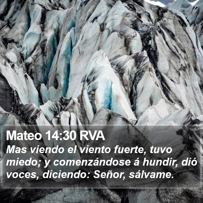 Mateo 14:30 RVA Bible Study