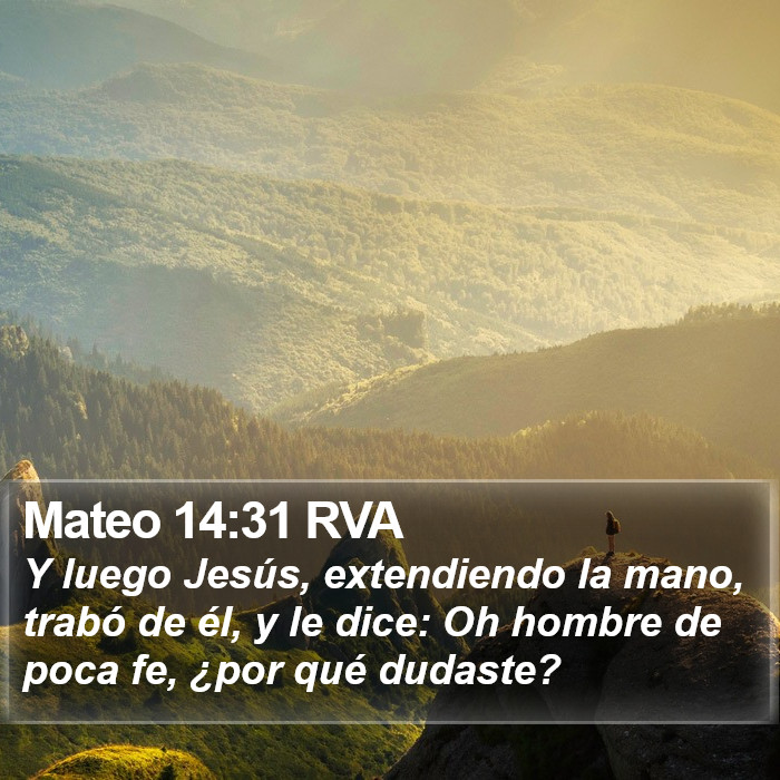 Mateo 14:31 RVA Bible Study