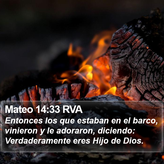 Mateo 14:33 RVA Bible Study