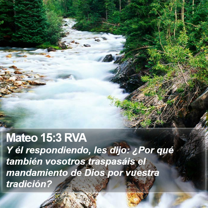 Mateo 15:3 RVA Bible Study