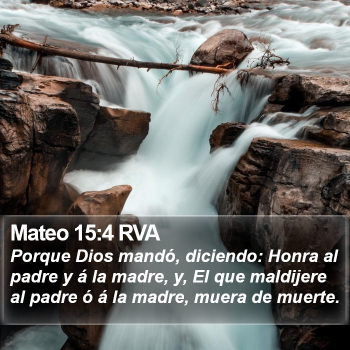 Mateo 15:4 RVA Bible Study