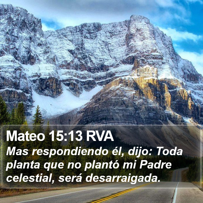 Mateo 15:13 RVA Bible Study