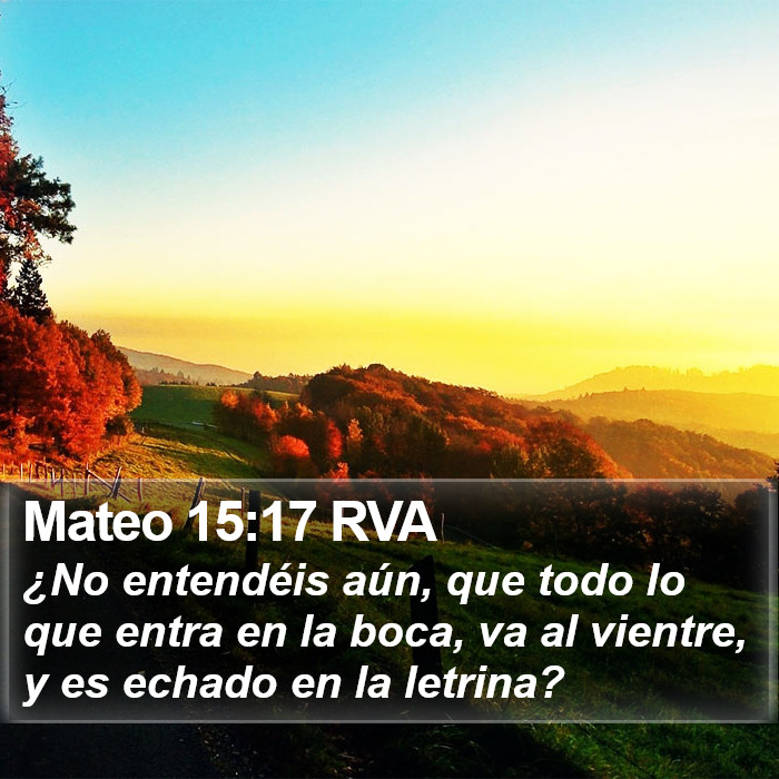 Mateo 15:17 RVA Bible Study