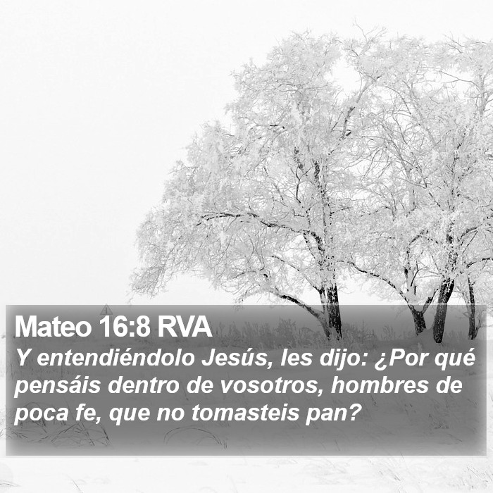 Mateo 16:8 RVA Bible Study