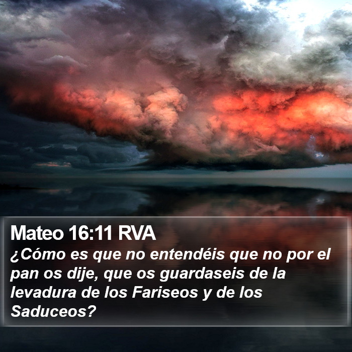 Mateo 16:11 RVA Bible Study