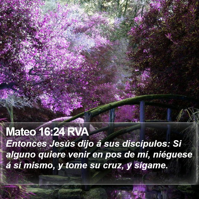 Mateo 16:24 RVA Bible Study