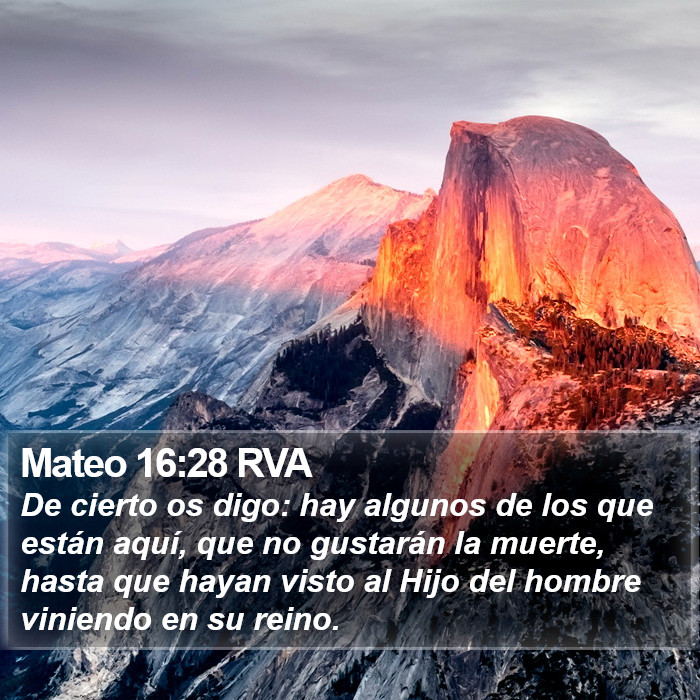 Mateo 16:28 RVA Bible Study