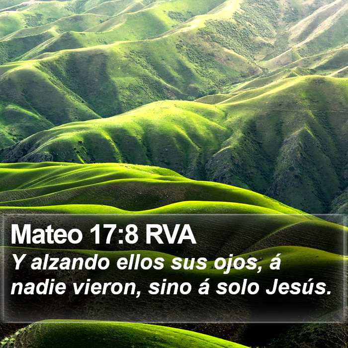 Mateo 17:8 RVA Bible Study