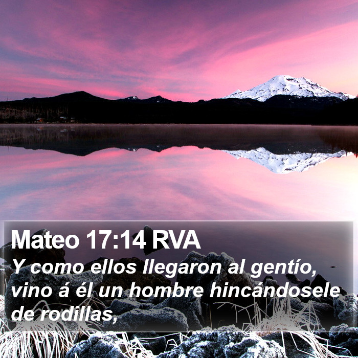 Mateo 17:14 RVA Bible Study