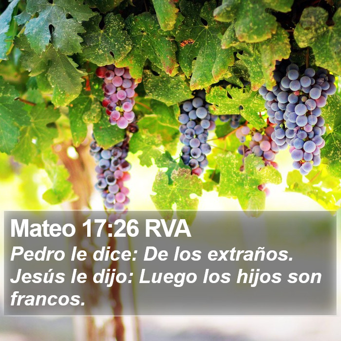 Mateo 17:26 RVA Bible Study