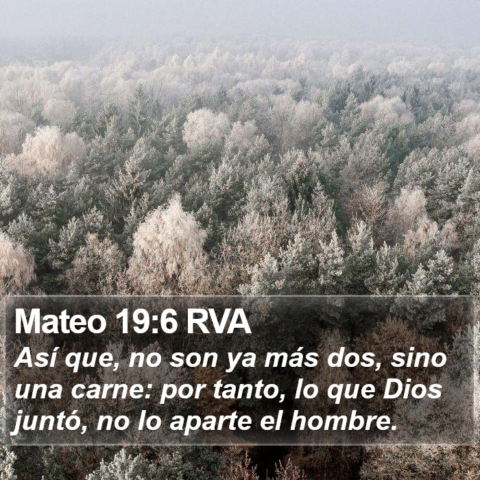 Mateo 19:6 RVA Bible Study