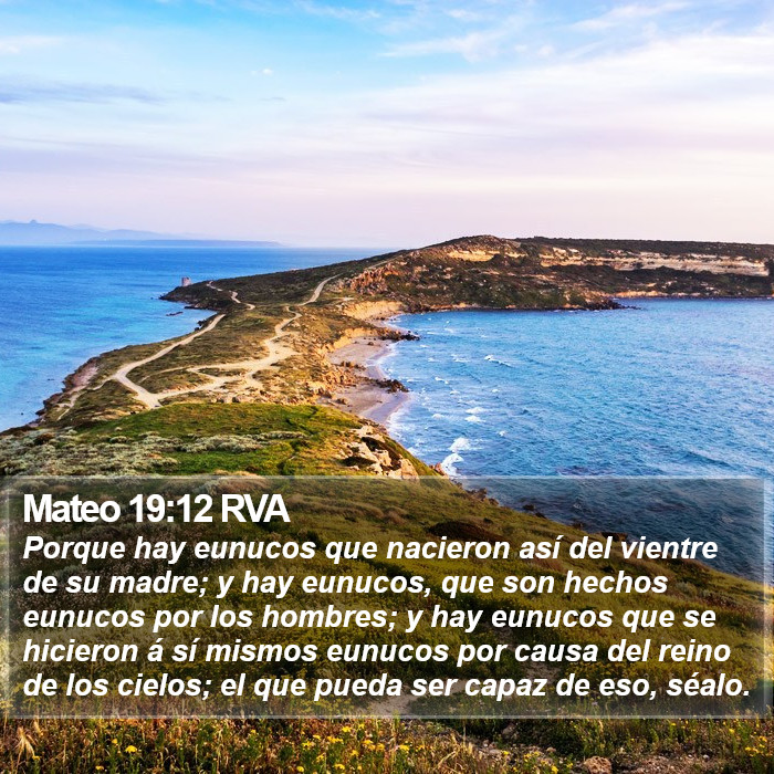 Mateo 19:12 RVA Bible Study