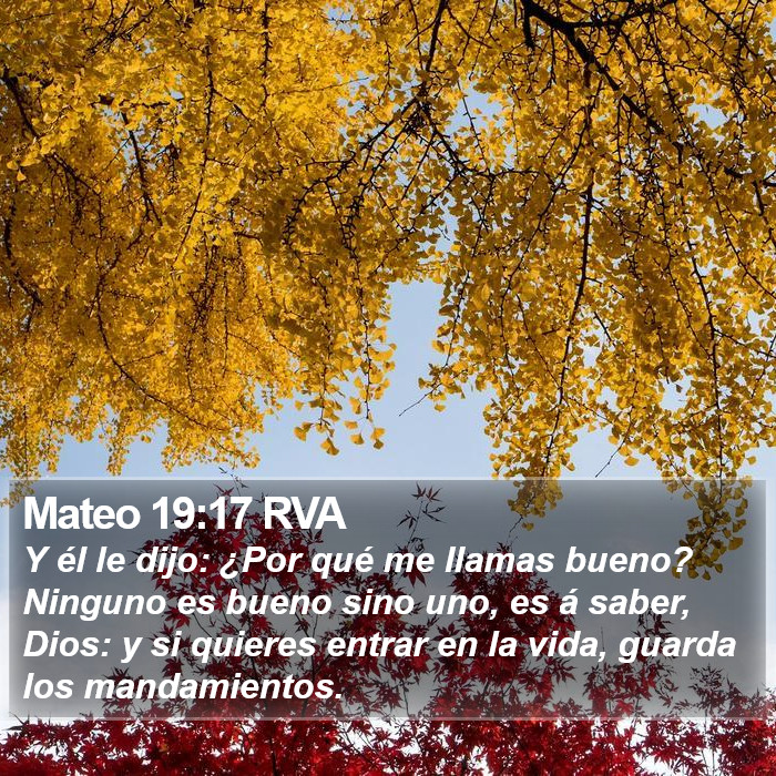 Mateo 19:17 RVA Bible Study