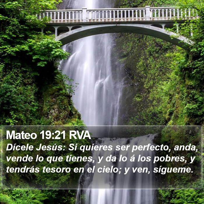 Mateo 19:21 RVA Bible Study