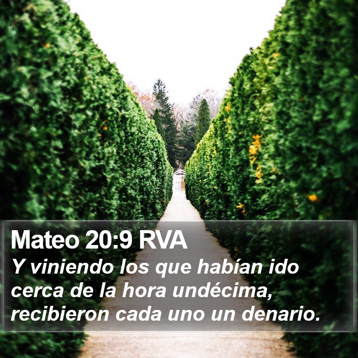 Mateo 20:9 RVA Bible Study