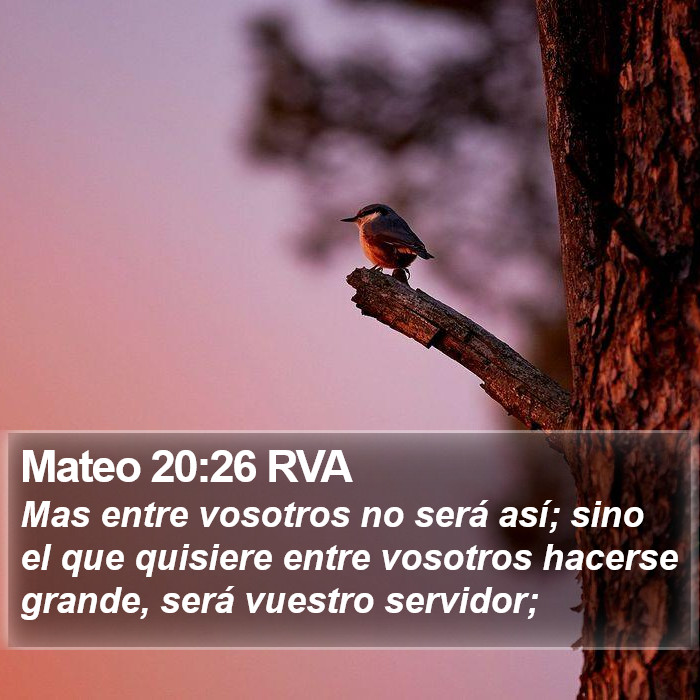 Mateo 20:26 RVA Bible Study