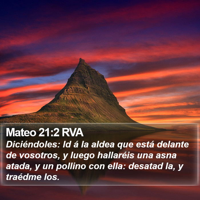 Mateo 21:2 RVA Bible Study