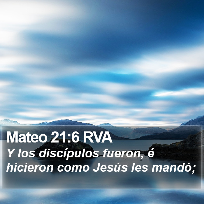 Mateo 21:6 RVA Bible Study