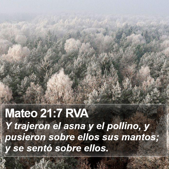 Mateo 21:7 RVA Bible Study