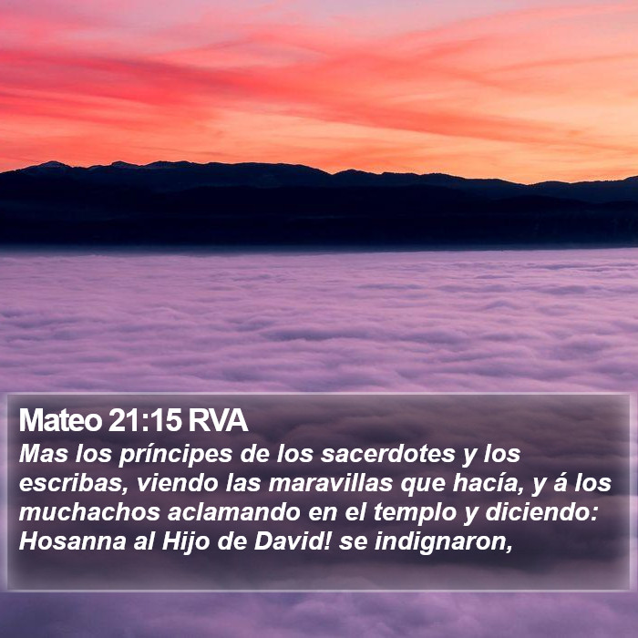 Mateo 21:15 RVA Bible Study