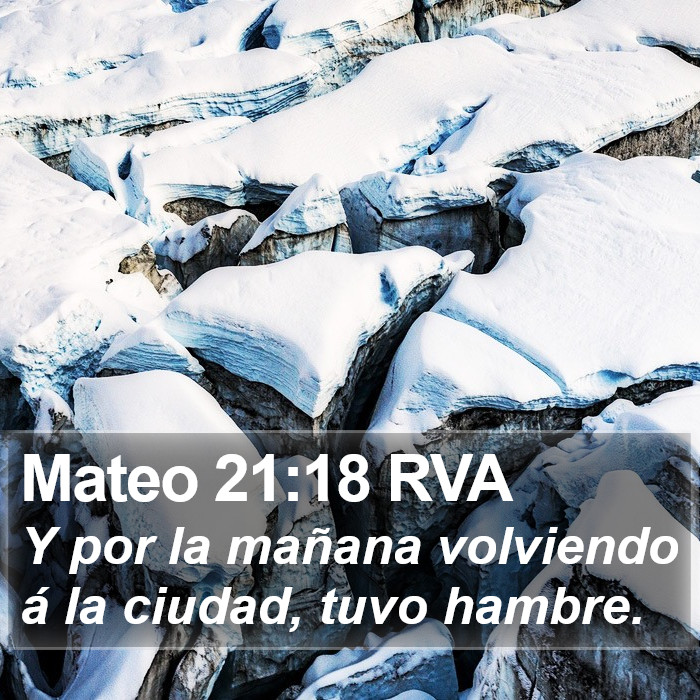 Mateo 21:18 RVA Bible Study