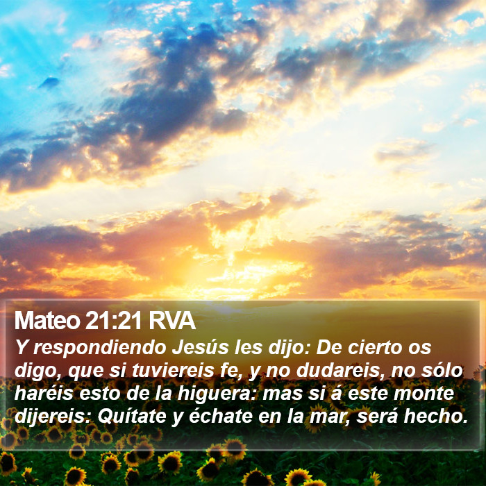 Mateo 21:21 RVA Bible Study