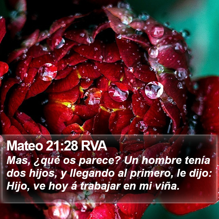 Mateo 21:28 RVA Bible Study