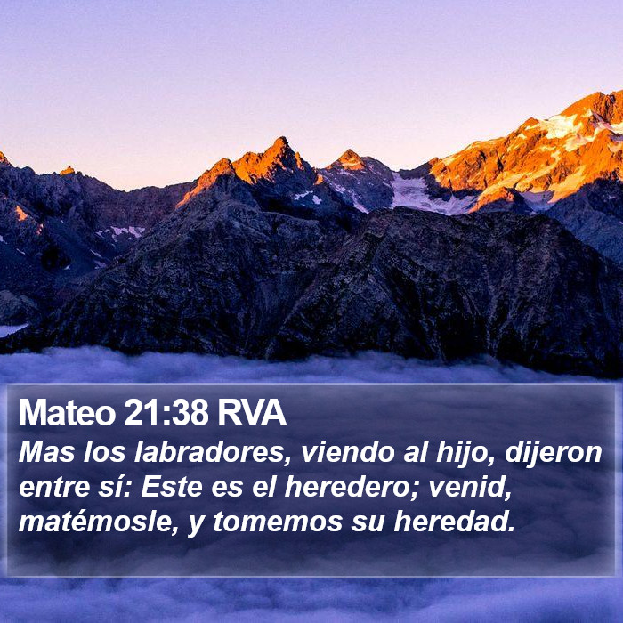 Mateo 21:38 RVA Bible Study